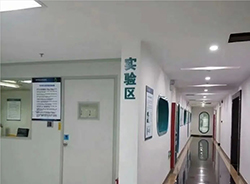内江司法DNA鉴定如何做检测咨询，内江司法亲子鉴定需要多少钱一次