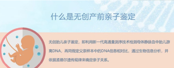 内江肚中宝宝和父亲需要怎么办理亲子鉴定,内江无创怀孕亲子鉴定多少钱